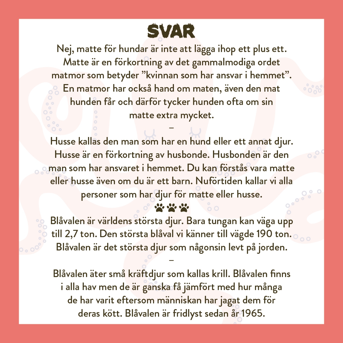 Spel Allt om djur